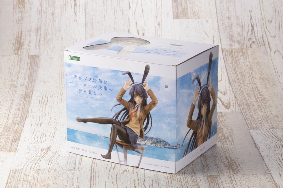 Mai Sakurajima - Seishun Buta Yarou wa Bunny Girl Senpai no Yume wo Minai 1/8